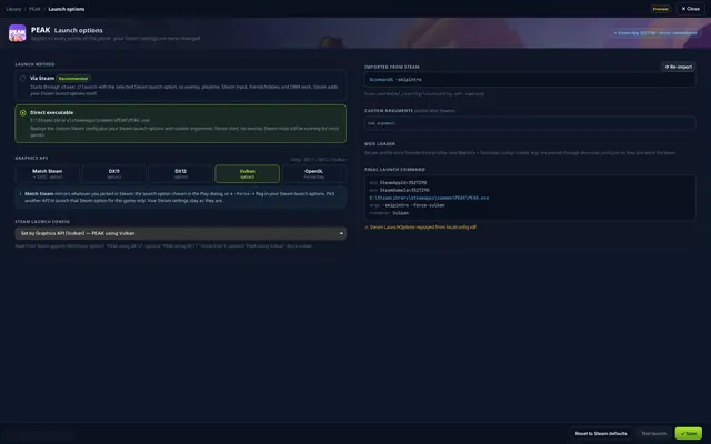 Launch options panel with a launch mode selected and a live preview of the final command
